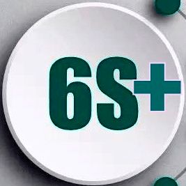 6S管理鑄就卓越品牌，中醫(yī)護(hù)理守護(hù)全民健康——現(xiàn)代醫(yī)院品牌管理的雙輪驅(qū)動(dòng)